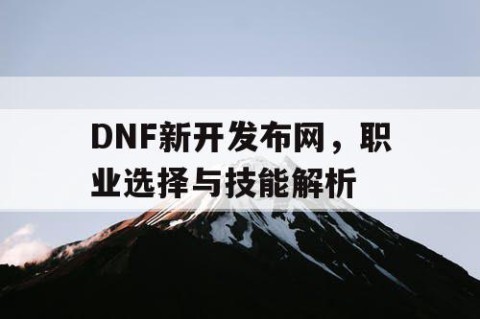 DNF新开发布网，职业选择与技能解析