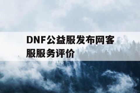 DNF公益服发布网客服服务评价