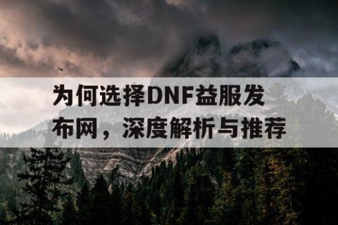 为何选择DNF益服发布网，深度解析与推荐