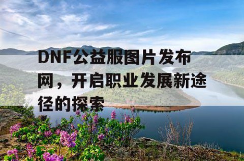 DNF公益服图片发布网，开启职业发展新途径的探索