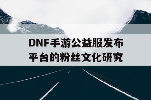 DNF手游公益服发布平台的粉丝文化研究