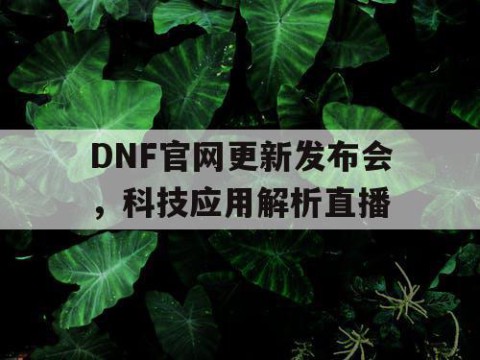 DNF官网更新发布会，科技应用解析直播