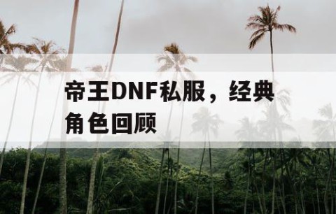 帝王DNF私服，经典角色回顾