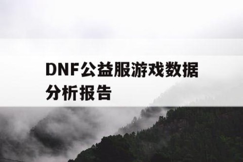 DNF公益服游戏数据分析报告