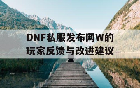 DNF私服发布网W的玩家反馈与改进建议