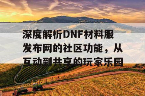 深度解析DNF材料服发布网的社区功能，从互动到共享的玩家乐园