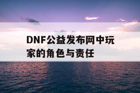 DNF公益发布网中玩家的角色与责任