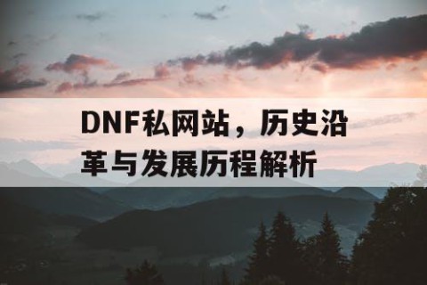 DNF私网站，历史沿革与发展历程解析