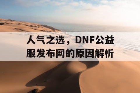 人气之选，DNF公益服发布网的原因解析