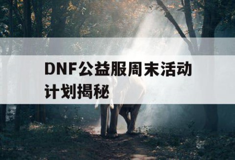 DNF公益服周末活动计划揭秘