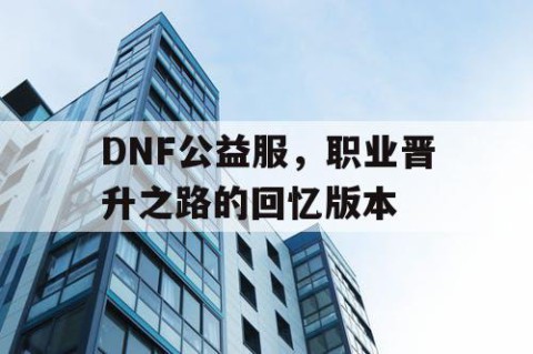 DNF公益服，职业晋升之路的回忆版本