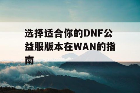 选择适合你的DNF公益服版本在WAN的指南