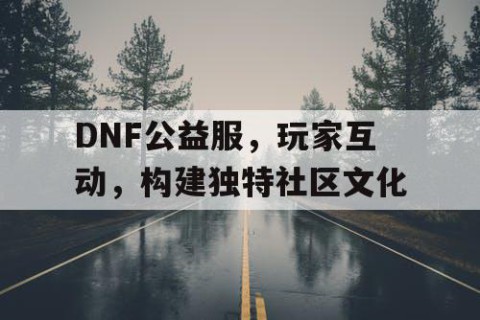 DNF公益服，玩家互动，构建独特社区文化