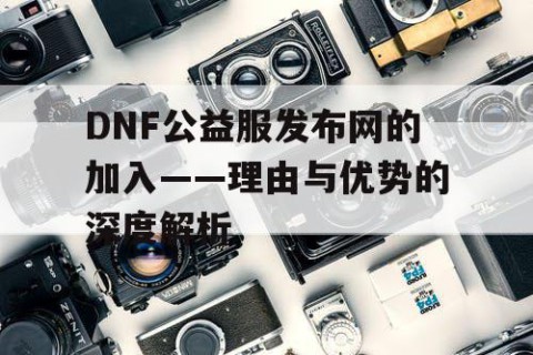 DNF公益服发布网的加入——理由与优势的深度解析