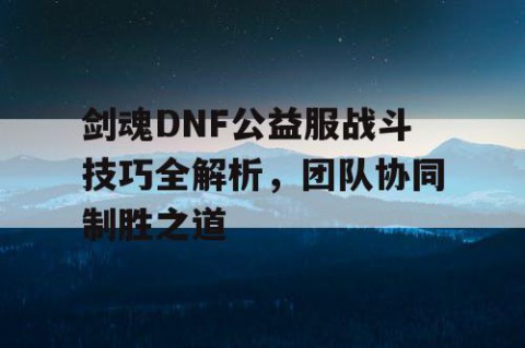 剑魂DNF公益服战斗技巧全解析，团队协同制胜之道