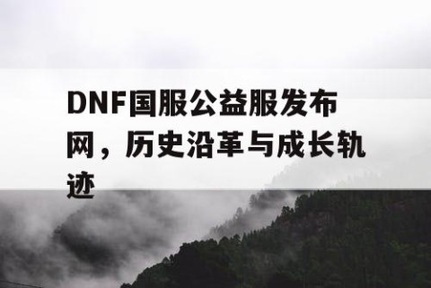 DNF国服公益服发布网，历史沿革与成长轨迹