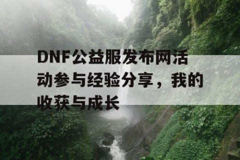 DNF公益服发布网活动参与经验分享，我的收获与成长