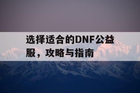 选择适合的DNF公益服，攻略与指南