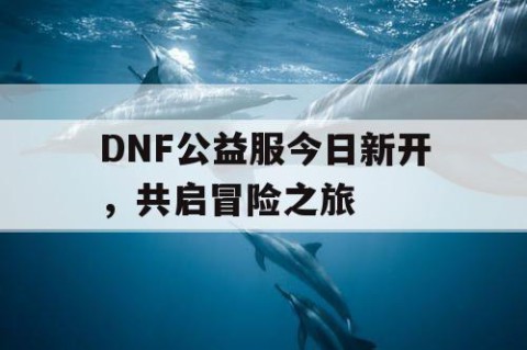 DNF公益服今日新开，共启冒险之旅