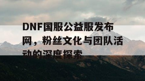 DNF国服公益服发布网，粉丝文化与团队活动的深度探索