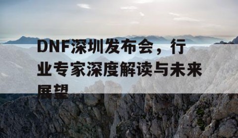 DNF深圳发布会，行业专家深度解读与未来展望