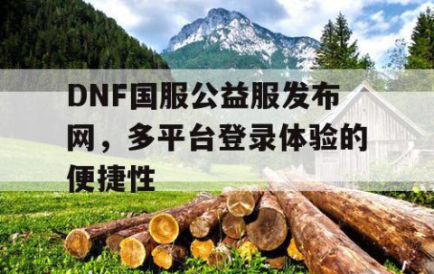 DNF国服公益服发布网，多平台登录体验的便捷性