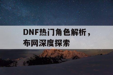 DNF热门角色解析，布网深度探索