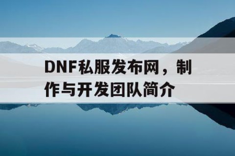 DNF私服发布网，制作与开发团队简介