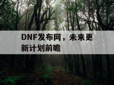 DNF发布网，未来更新计划前瞻