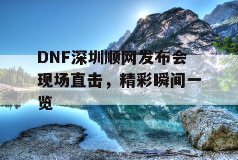 DNF深圳顺网发布会现场直击，精彩瞬间一览