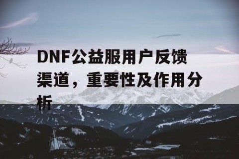 DNF公益服用户反馈渠道，重要性及作用分析