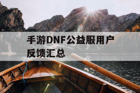 手游DNF公益服用户反馈汇总