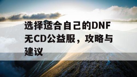 选择适合自己的DNF无CD公益服，攻略与建议