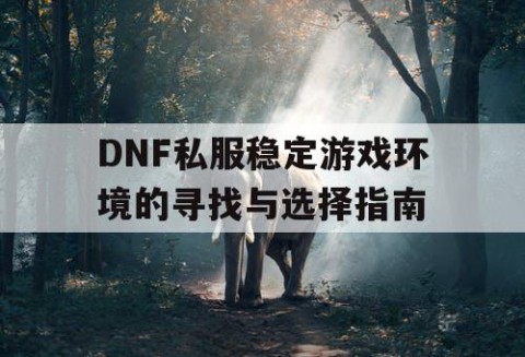 DNF私服稳定游戏环境的寻找与选择指南