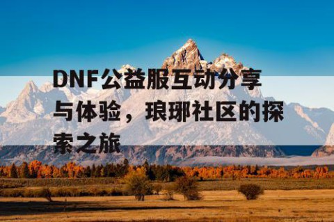 DNF公益服互动分享与体验，琅琊社区的探索之旅