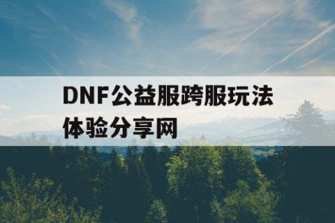 DNF公益服跨服玩法体验分享网