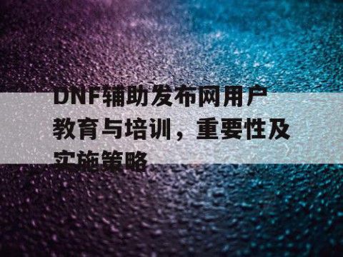 DNF辅助发布网用户教育与培训，重要性及实施策略