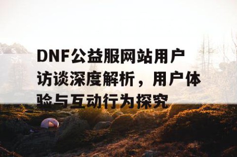 DNF公益服网站用户访谈深度解析，用户体验与互动行为探究