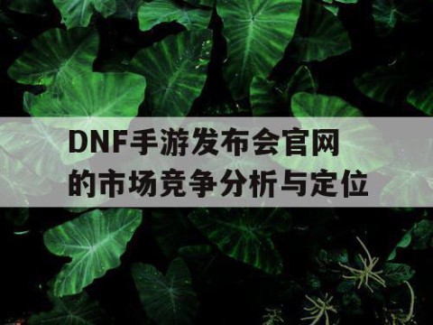 DNF手游发布会官网的市场竞争分析与定位