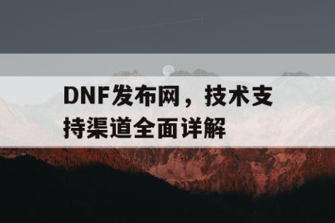 DNF发布网，技术支持渠道全面详解