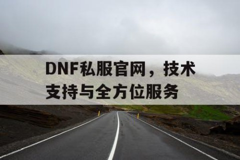 DNF私服官网，技术支持与全方位服务