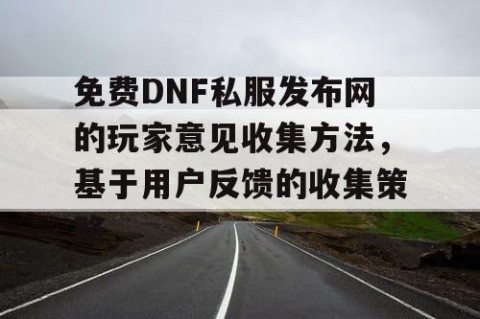 免费DNF私服发布网的玩家意见收集方法，基于用户反馈的收集策略