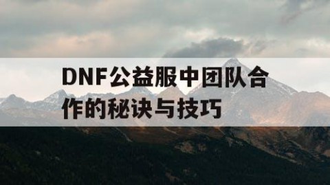 DNF公益服中团队合作的秘诀与技巧