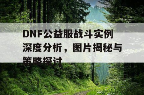 DNF公益服战斗实例深度分析，图片揭秘与策略探讨