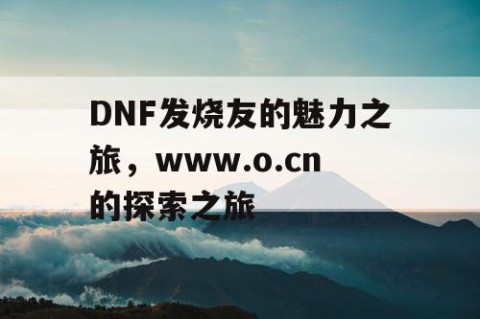 DNF发烧友的魅力之旅，www.o.cn的探索之旅