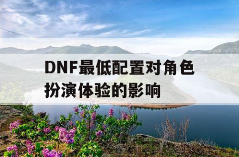 DNF最低配置对角色扮演体验的影响