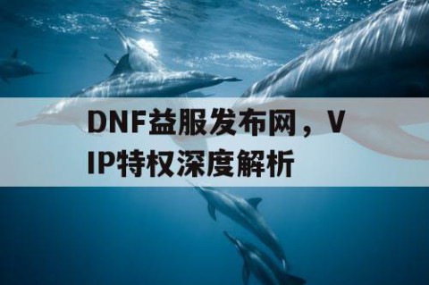 DNF益服发布网，VIP特权深度解析