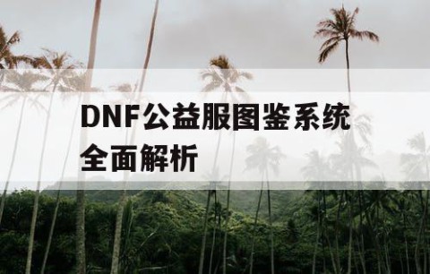 DNF公益服图鉴系统全面解析