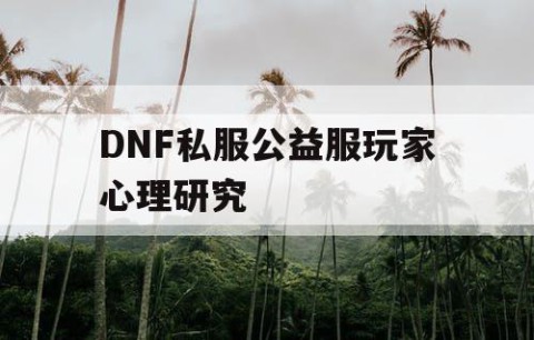 DNF私服公益服玩家心理研究