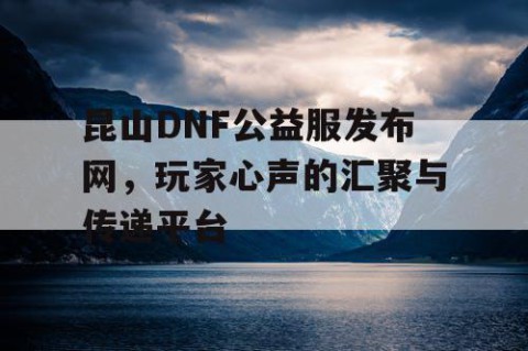 昆山DNF公益服发布网，玩家心声的汇聚与传递平台